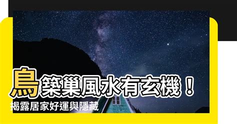 鳥築巢 風水|【鳥築巢吉兆】迎祥納瑞：野鳥築巢，居家風水好兆。